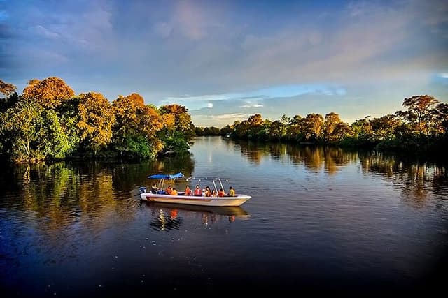 Klias Mangrove Wildlife and Fireflies