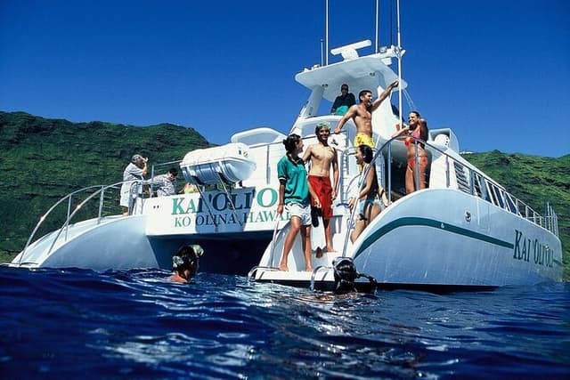 Luxury Snorkel Cruise with Dolphin Watch and Hawaiian Meal