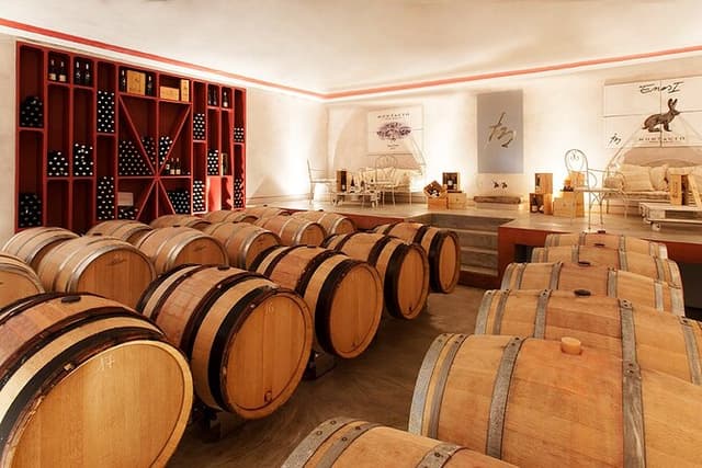 From Civitavecchia: Tuscany-Latium Wine Tour with Tastings
