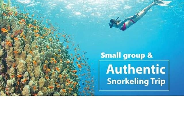 Real snorkel trip by speedboat with small group on Cham island