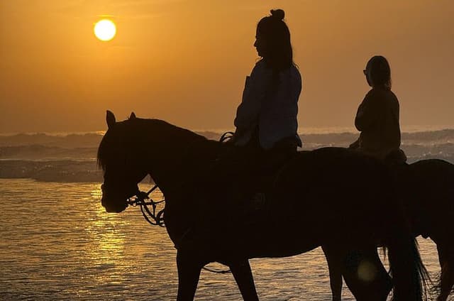 Horseback Riding in Essaouira - Essaouira HorseRiding