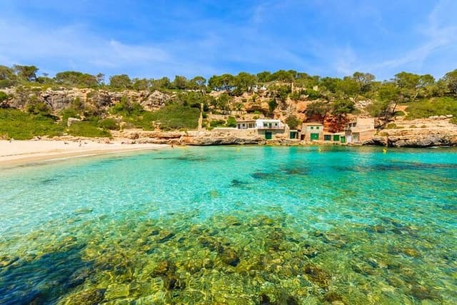 "Best Beaches Mallorca Experience with Guide, SUP, and Snorkel"