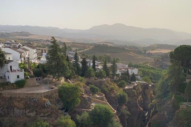 Compare Top Ronda Wine Tours from Marbella