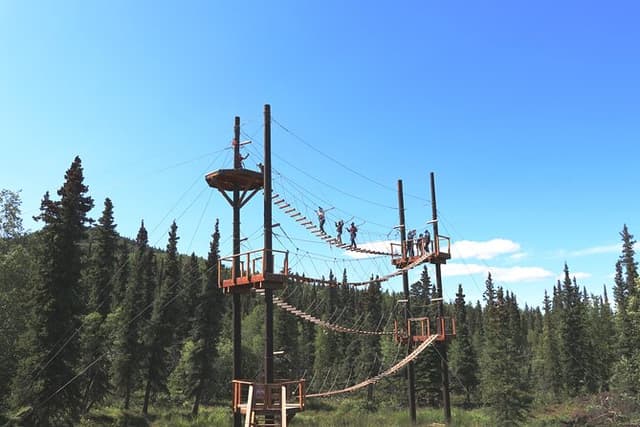 Denali Zipline & Brewpub Visit – Half-Day Adventure