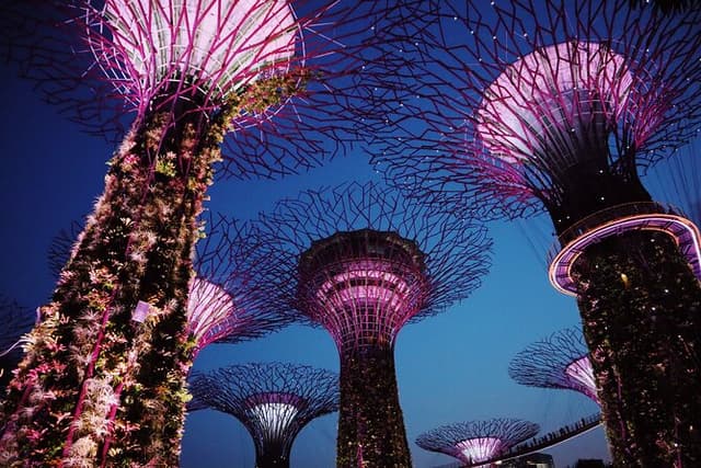 Singapore Private Tour with a Driver