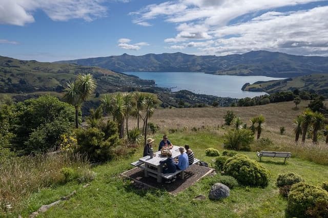 Akaroa Nature and History Private Tour - The 7th Generation