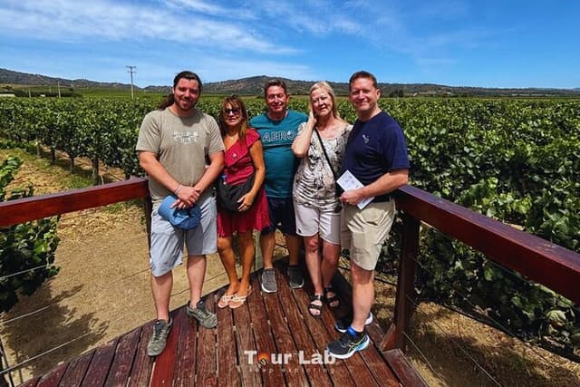 Valparaíso street art and wine tasting experience from Santiago