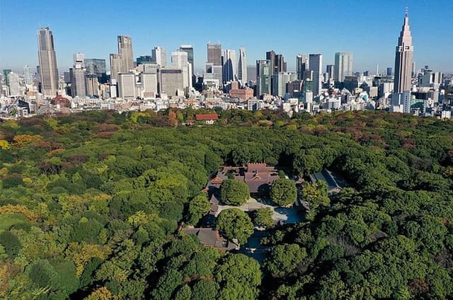 Tokyo: Meiji Shrine Walking Tour — Shintoism & Imperial System