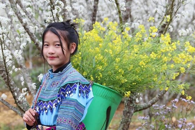 Mai Chau and Moc Chau 2 day trip from Hanoi