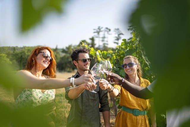 Provence Wine Tour - Private Day Tour from Antibes