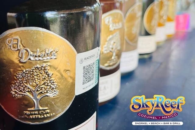 Cozumel Beach Club: Snorkel + Tequila Tasting + 5-Min Massage