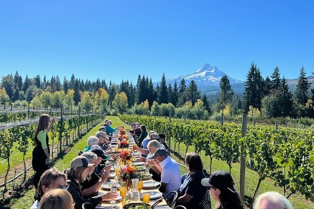 Full-Day Mt Hood Waterfall Tour with Lunch and Wine Included