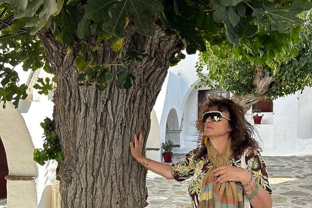 Private Tour: Mykonos Island in Half a Day