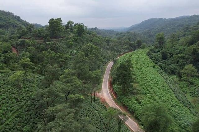 Amchong Leaf, A Walkthrough Experience