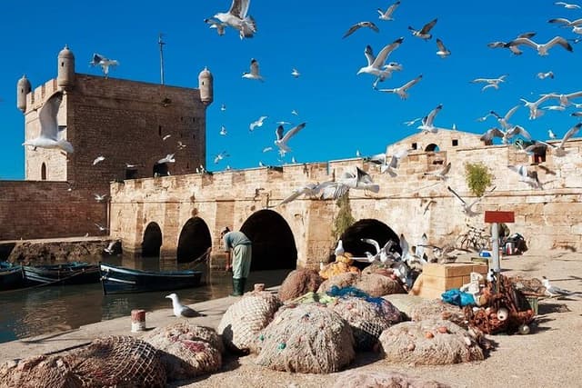 Essaouira day trip from Marrakech