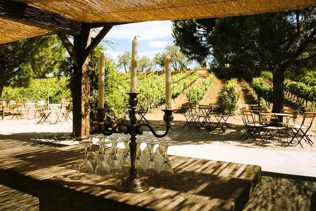 Wine Tour in Roussillon: Picnic & Tasting Day