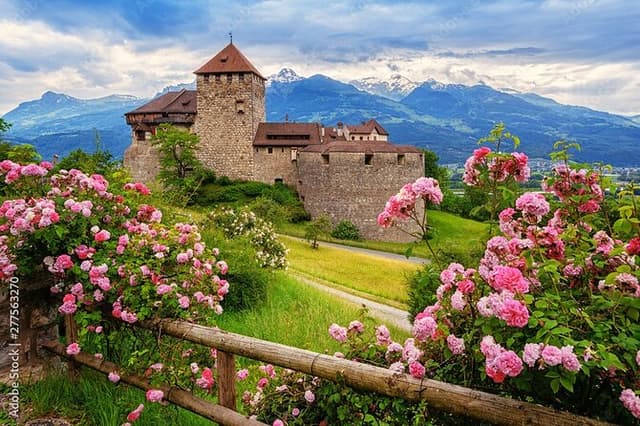 Explore 4 Countries in a Day: Liechtenstein,Austria,Swiss&Germany