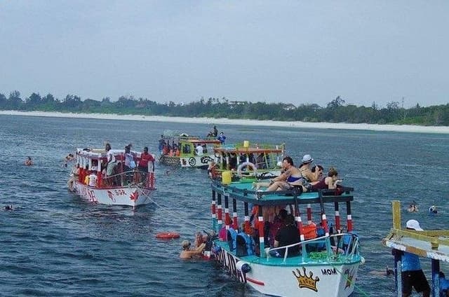 Full-Day Safari Blue Tour with Snorkeling Dolphins & Island Stop