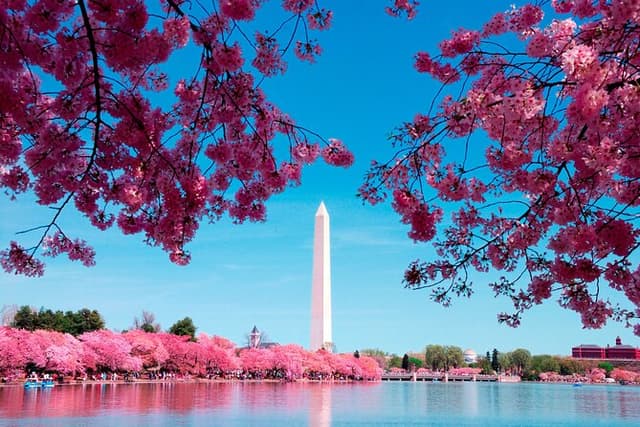 DC in a Day: 10+ Monuments, Boat Cruise, National Mall, Tickets