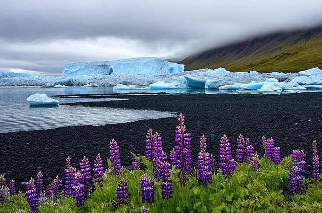 Shore Excursion Express: Glaciers - Black Sand Diamond Beach