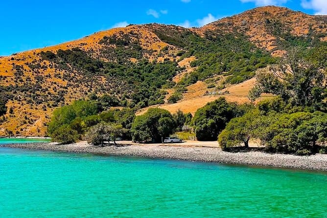 Best Akaroa Day Tours: Christchurch's Top Coastal Escape