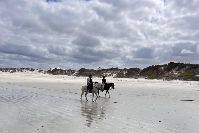 Best Cape Town Beach Horse Rides & Tours