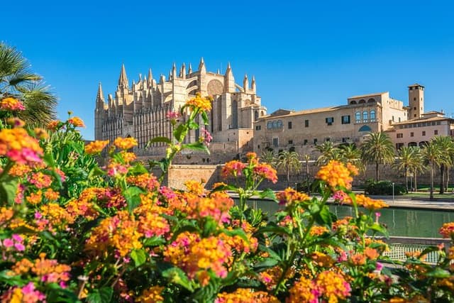 Palma de Mallorca and Valldemossa Excursion from Cruise Port