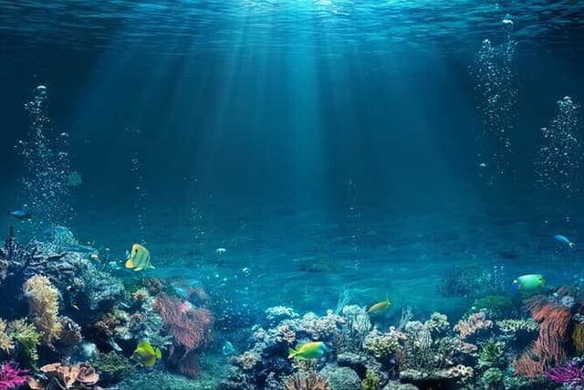 Full-Day Snorkeling Adventure In Tiran Island By Boat in Sharm