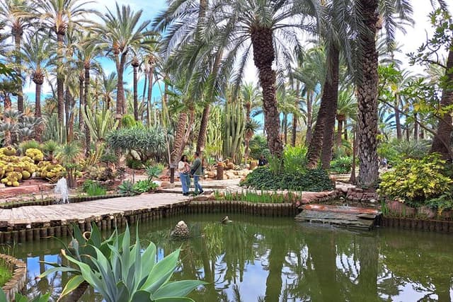Alicante & Elche Small Group Tour with Palm Grove and Castle