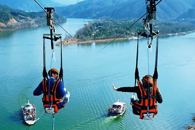Best Alpaca World & Nami Island Day Tour from Seoul