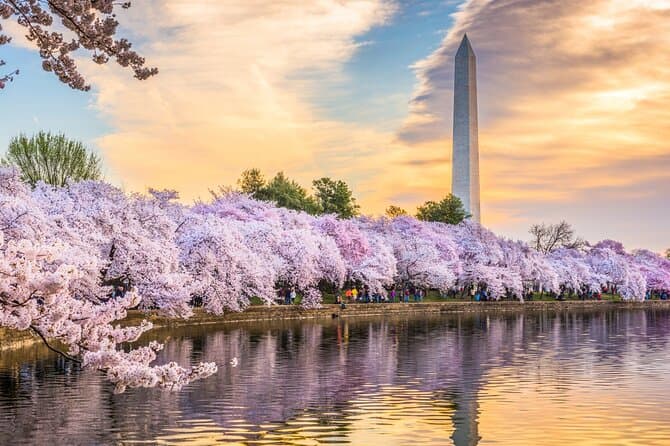 Top-Rated DC Day Trips from NYC: Compare & Book