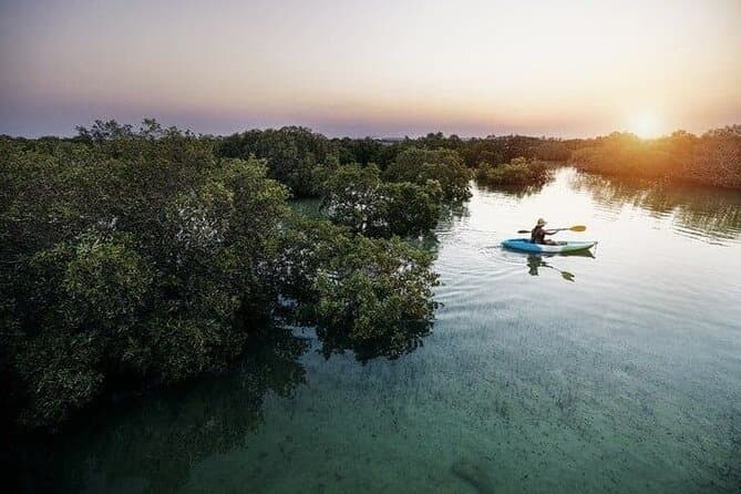 Best Mangrove Kayaking Tours in Al Thakira, Doha