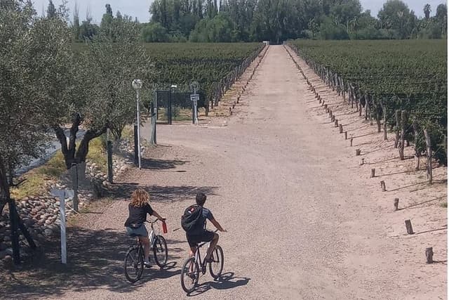 Self-guided bike tour of Maipu (Mendoza)