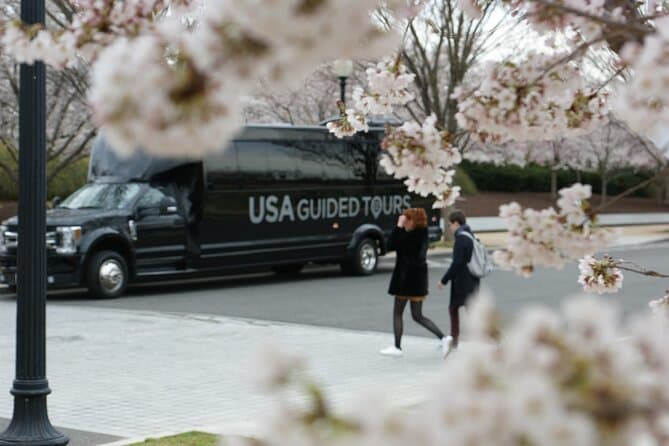 Best Washington D.C. Cherry Blossom Tours & Spring Adventures