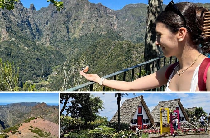 Laurisilva Forest Tours & Hikes