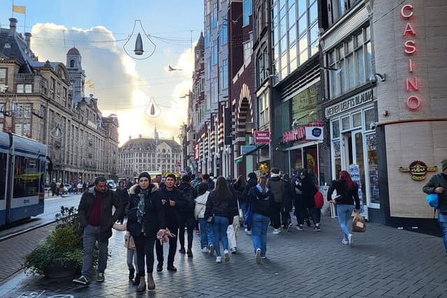 Private Amsterdam City Highlights Tour – Luxury Mercedes & Stops