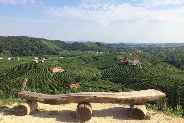 From Venice: day trip to the Prosecco hills with wine tasting