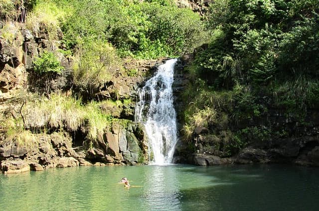 KoOlina to North Shore: Waimea Falls & Snorkel