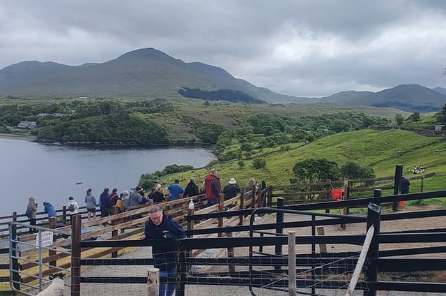 Connemara Half Day Tour