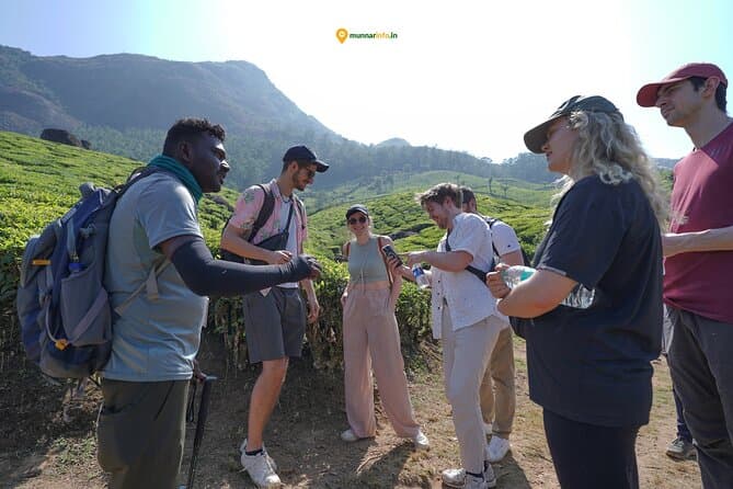 Unforgettable Munnar Tea Plantation & Trail Adventures
