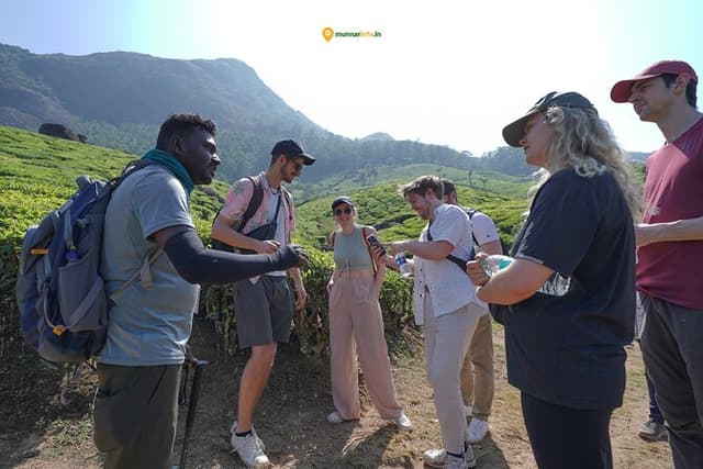 Munnar Tea Trail Tour with Factory Experience ( By Munnar Info)