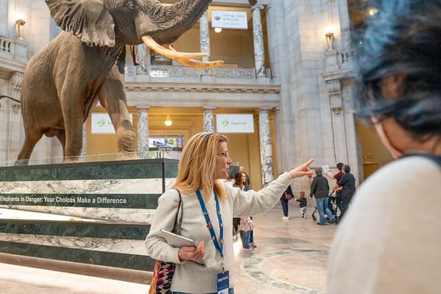 Smithsonian "Big 3" Highlights Tour (Air & Space Entry Included)