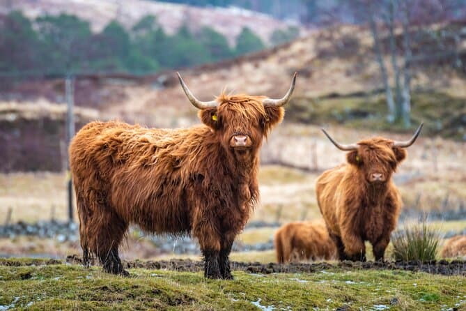 West Highland Lochs Tour