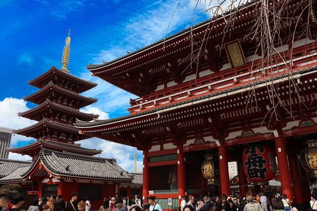 Private Tokyo Early Morning Tour (English & Spanish Available)