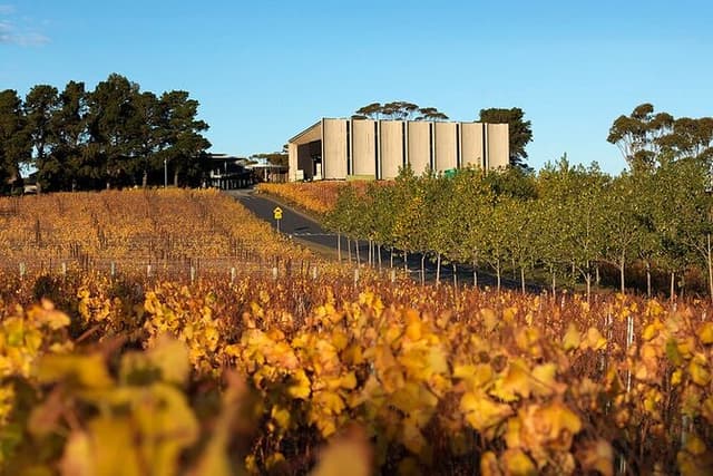 Moorilla's Wine and Art Tour at Mona