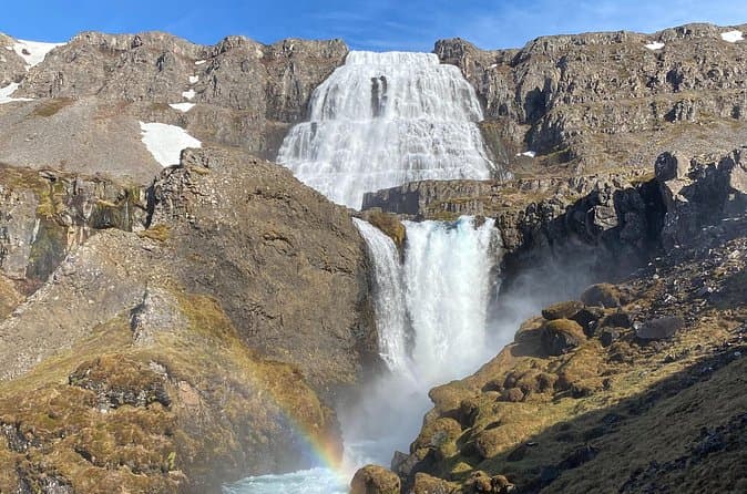 Best Westfjords Tours from Isafjordur