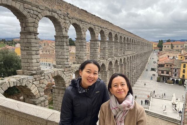 Madrid: Avila and Segovia private day trip with hotel pick up