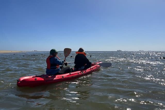 Seal Kayaking and Sandwich Harbour tour