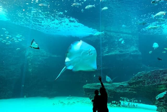 Ocean Aquarium and Harbour Cruise Tour with Transportation