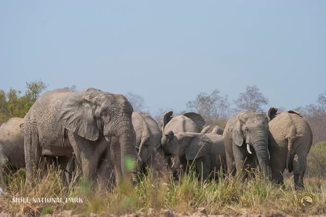 4 Days Adventurous Wildlife Safari